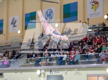 Thumbnail 1 in CHSAA 4A Dive Championships photogallery.