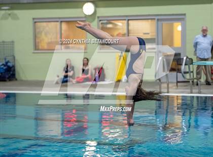 Thumbnail 1 in CHSAA 4A Dive Championships photogallery.