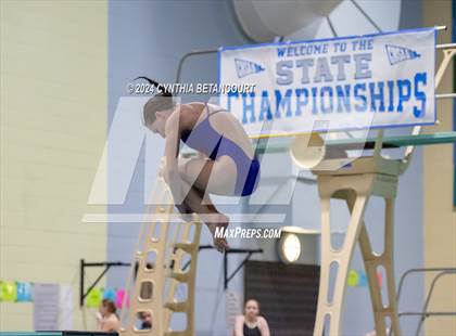 Thumbnail 1 in CHSAA 4A Dive Championships photogallery.