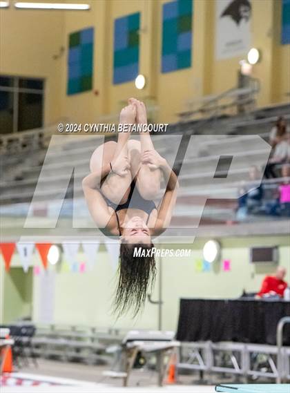 Thumbnail 1 in CHSAA 4A Dive Championships photogallery.