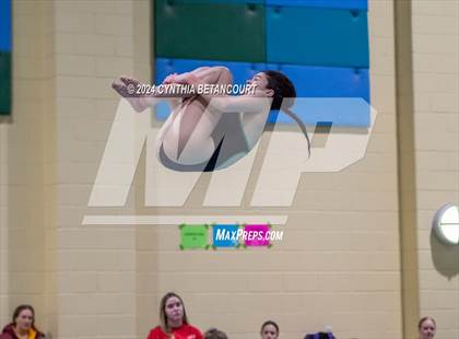 Thumbnail 1 in CHSAA 4A Dive Championships photogallery.