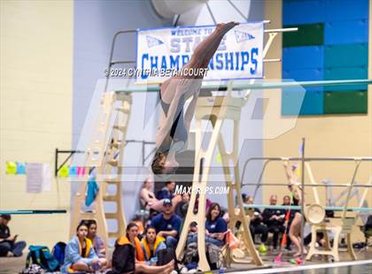 Thumbnail 3 in CHSAA 4A Dive Championships photogallery.