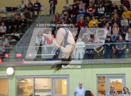 Thumbnail 1 in CHSAA 4A Dive Championships photogallery.