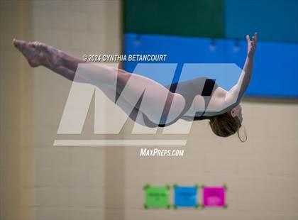 Thumbnail 1 in CHSAA 4A Dive Championships photogallery.