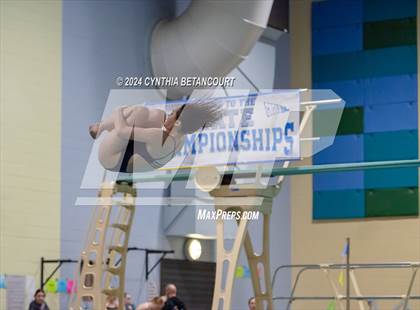 Thumbnail 3 in CHSAA 4A Dive Championships photogallery.