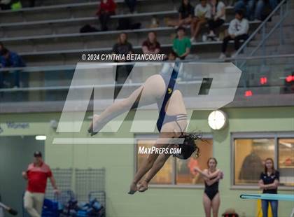 Thumbnail 3 in CHSAA 4A Dive Championships photogallery.