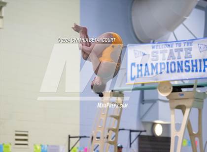 Thumbnail 1 in CHSAA 4A Dive Championships photogallery.