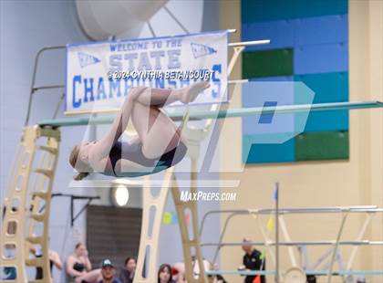 Thumbnail 2 in CHSAA 4A Dive Championships photogallery.