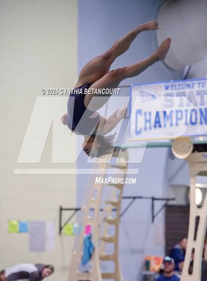 Thumbnail 1 in CHSAA 4A Dive Championships photogallery.