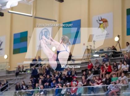 Thumbnail 2 in CHSAA 4A Dive Championships photogallery.