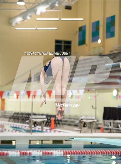 Thumbnail 1 in CHSAA 4A Dive Championships photogallery.