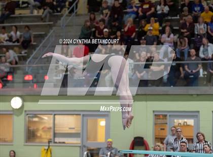 Thumbnail 1 in CHSAA 4A Dive Championships photogallery.