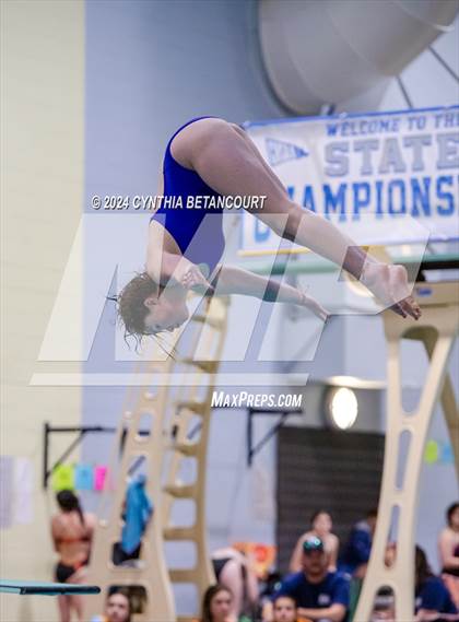 Thumbnail 1 in CHSAA 4A Dive Championships photogallery.