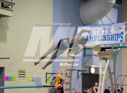 Thumbnail 2 in CHSAA 4A Dive Championships photogallery.