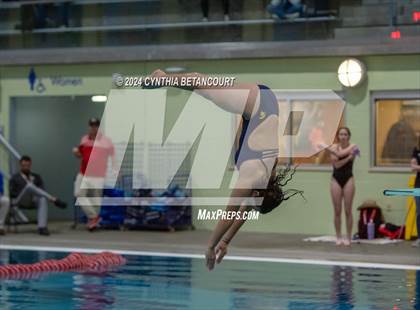 Thumbnail 1 in CHSAA 4A Dive Championships photogallery.