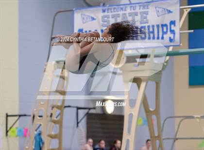 Thumbnail 1 in CHSAA 4A Dive Championships photogallery.