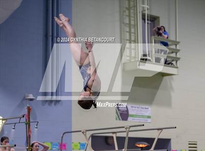 Thumbnail 1 in CHSAA 4A Dive Championships photogallery.