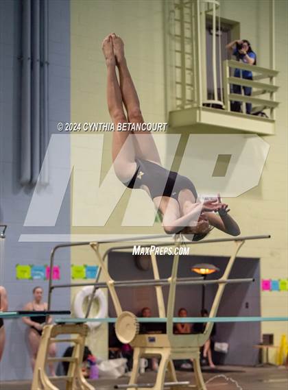 Thumbnail 1 in CHSAA 4A Dive Championships photogallery.