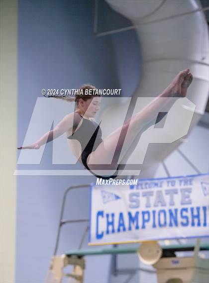 Thumbnail 1 in CHSAA 4A Dive Championships photogallery.