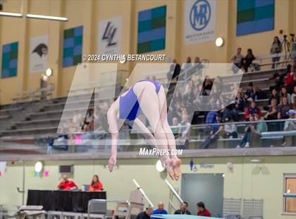 Thumbnail 1 in CHSAA 4A Dive Championships photogallery.