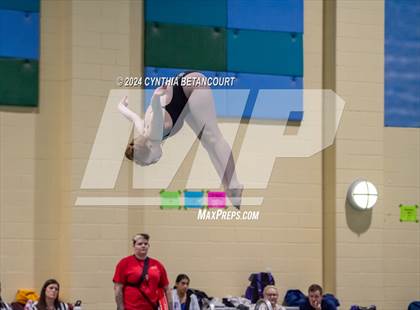 Thumbnail 3 in CHSAA 4A Dive Championships photogallery.
