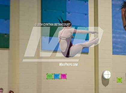 Thumbnail 1 in CHSAA 4A Dive Championships photogallery.