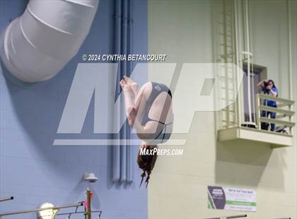 Thumbnail 2 in CHSAA 4A Dive Championships photogallery.