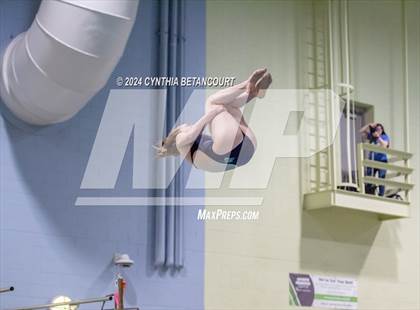 Thumbnail 3 in CHSAA 4A Dive Championships photogallery.