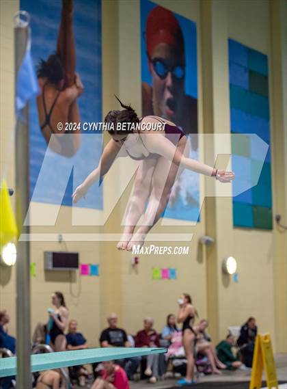 Thumbnail 2 in CHSAA 4A Dive Championships photogallery.