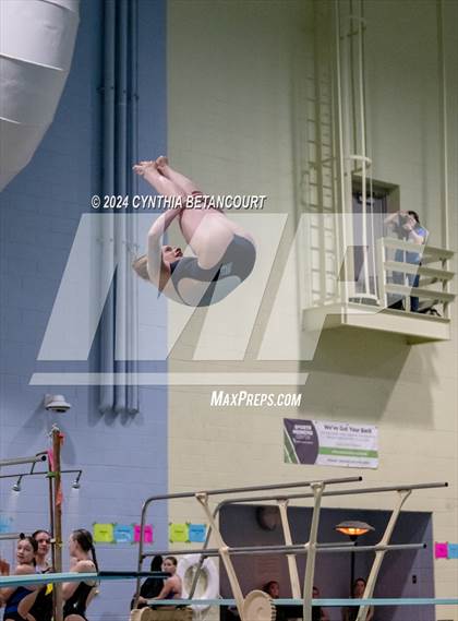 Thumbnail 1 in CHSAA 4A Dive Championships photogallery.