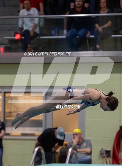 Thumbnail 1 in CHSAA 4A Dive Championships photogallery.