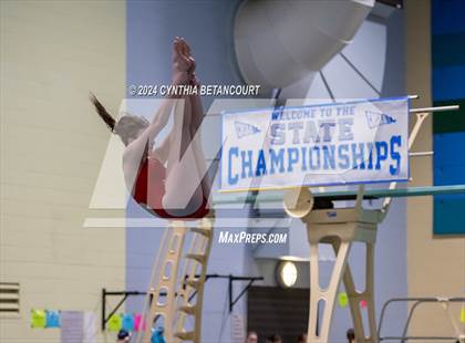 Thumbnail 1 in CHSAA 4A Dive Championships photogallery.