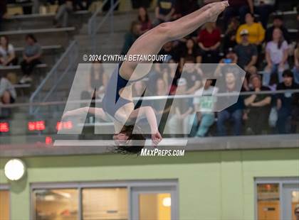 Thumbnail 2 in CHSAA 4A Dive Championships photogallery.