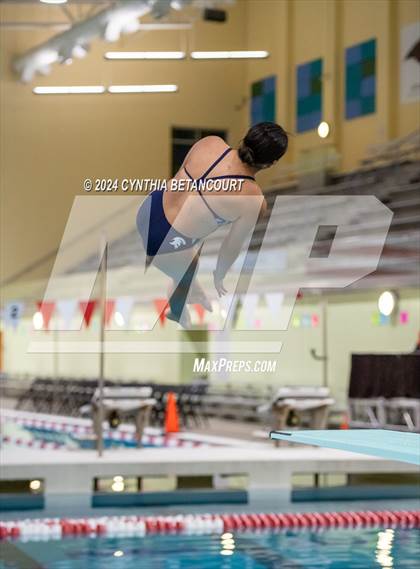 Thumbnail 2 in CHSAA 4A Dive Championships photogallery.