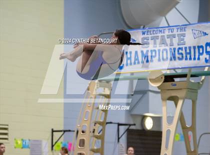 Thumbnail 3 in CHSAA 4A Dive Championships photogallery.