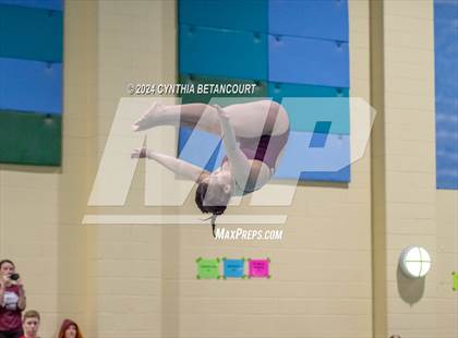 Thumbnail 2 in CHSAA 4A Dive Championships photogallery.