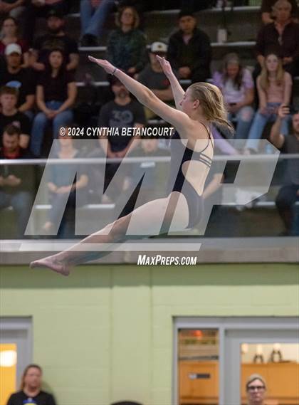 Thumbnail 1 in CHSAA 4A Dive Championships photogallery.