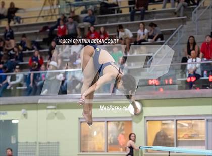 Thumbnail 1 in CHSAA 4A Dive Championships photogallery.