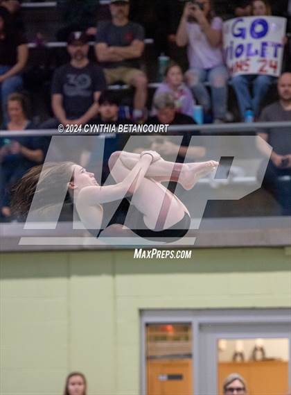 Thumbnail 1 in CHSAA 4A Dive Championships photogallery.