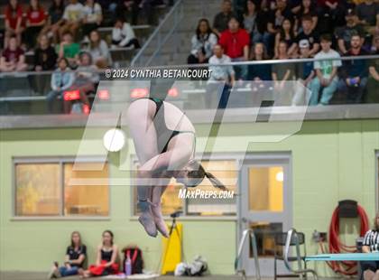 Thumbnail 1 in CHSAA 4A Dive Championships photogallery.