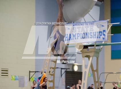 Thumbnail 1 in CHSAA 4A Dive Championships photogallery.