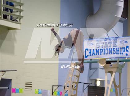 Thumbnail 1 in CHSAA 4A Dive Championships photogallery.