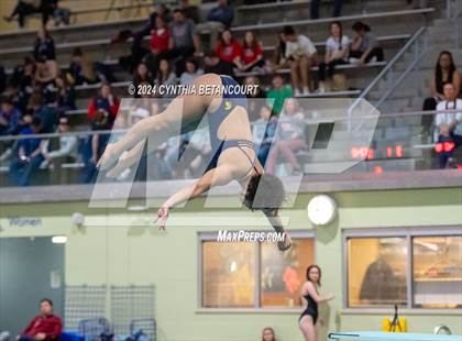Thumbnail 2 in CHSAA 4A Dive Championships photogallery.