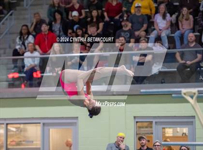 Thumbnail 3 in CHSAA 4A Dive Championships photogallery.