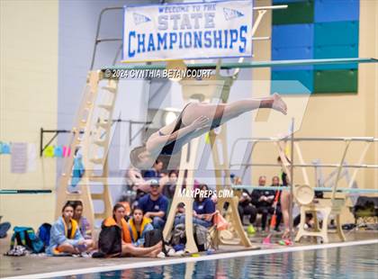 Thumbnail 1 in CHSAA 4A Dive Championships photogallery.