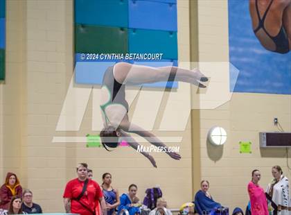 Thumbnail 1 in CHSAA 4A Dive Championships photogallery.