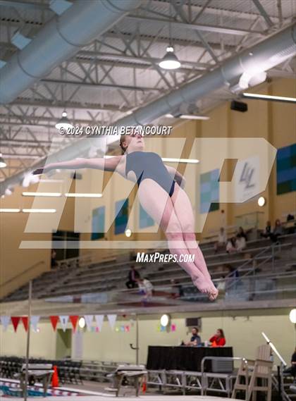 Thumbnail 1 in CHSAA 4A Dive Championships photogallery.