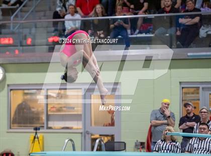 Thumbnail 2 in CHSAA 4A Dive Championships photogallery.