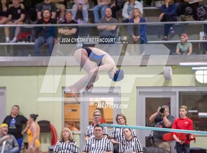 Thumbnail 1 in CHSAA 4A Dive Championships photogallery.