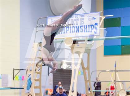 Thumbnail 1 in CHSAA 4A Dive Championships photogallery.